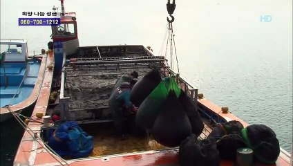 노원출장안마 -여대생！Ø7Øe7575vØØ62【문의톡OYO78】노원전지역출장마사지노원출장안마'노원출장마사지황형'출장안마'タダチ출장오피'출장마사지'콜걸