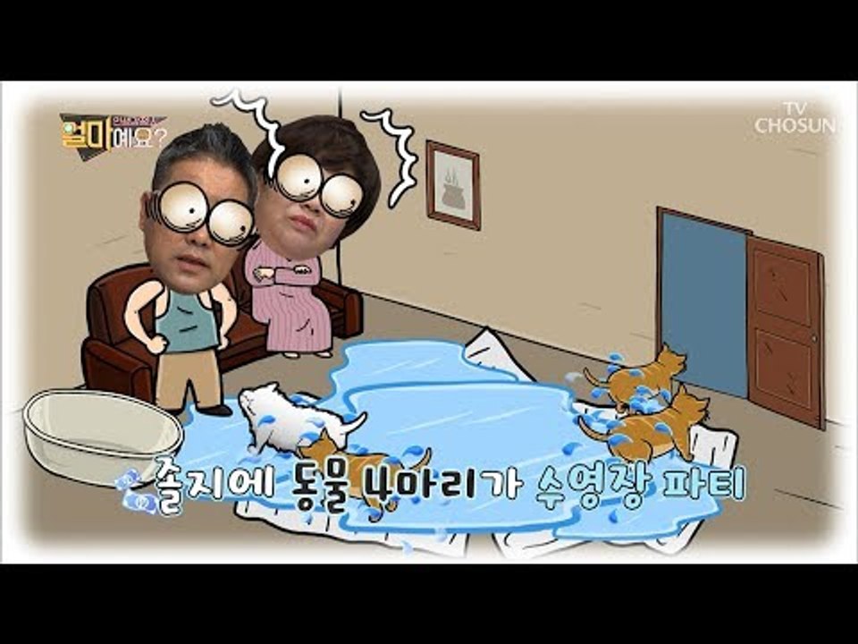이병훈 무좀 걱정은 없겠네~ 졸지에 동물들과 수영장 파티?! [얼마예요] 47회 20...