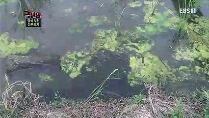 고성출장안마 -여대생！Ø7Øb5222a78Ø2{톡문의ZHF526}고성전지역출장마사지고성출장안마'고성출장마사지황형'출장안마'ŧŋŉ'출장마사지'콜걸'출장마사지'콜걸