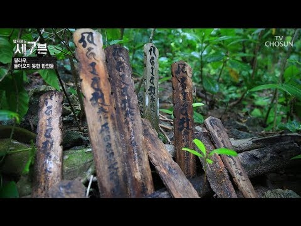 곳곳에서 발견된 나무 팻말의 정체는?! [탐사보도 세븐 48회] 20180815