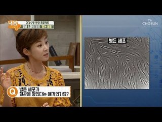 세포도 병이 든다! 심하면 동맥경화증, 심뇌혈관 질환까지! [내 몸 사용설명서] 215회 20180818