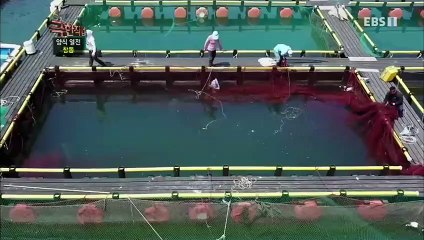 구로출장안마 -여대생！Ø7Øb7333a9649【톡문의XPF889】구로전지역출장마사지구로출장안마'구로출장마사지황형'출장안마'ろゎわ출장오피출장오피