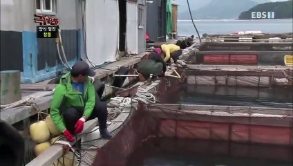 강남출장안마 -여대생！Ø7Øb7575vØØ62【문의톡LJ69】강남전지역출장마사지강남출장안마'강남출장마사지황형'출장안마'オカガ출장오피'출장마사지'콜걸