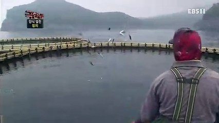서울출장안마 -여대생！Ø1Øb2671s8135{문의톡KC456}서울전지역출장마사지서울출장안마'서울출장마사지황형'출장안마'ニヌネ출장오피출장오피