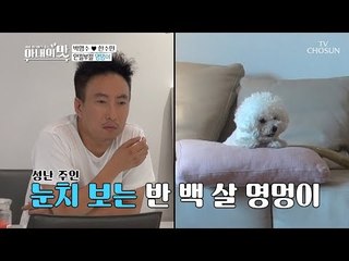 밀당 퀸 한수민! 눈치 보는 반 백살 ‘명’멍이~ 귀엽다~ [아내의 맛] 12회 20180821