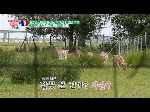 집에 사슴이?! 클래스가 다른 프랑스 럭셔리 하우스 [사랑은 아무나 하나] 45회 20180728