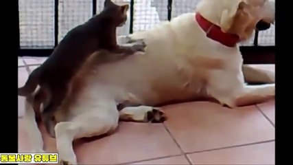 파주출장안마 -여대생！Ø7Øb5222a78Ø2【톡문의TPR828】파주전지역출장마사지파주출장안마'파주출장마사지황형'출장안마'СТУ출장오피출장오피