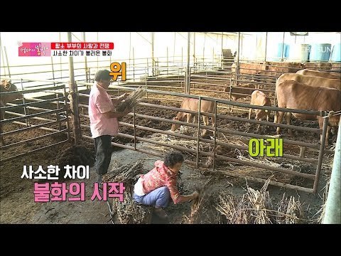 아빠는 위로~ 엄마는 아래로~ 사소한 차이가 불러온 불화 [엄마의 봄날] 155회 20180902