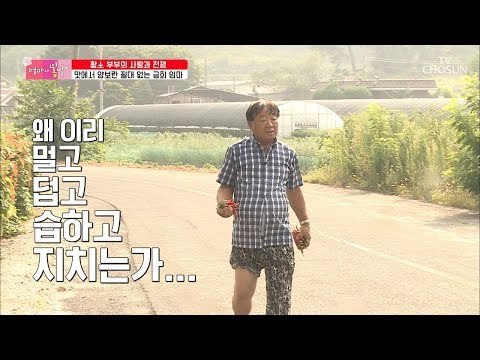 맛에서 양보란 없는 금희 엄마! 엄마의 맛을 위해 아빠가 나선다 [엄마의 봄날] 155회 20180902