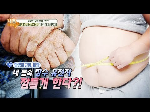 만병의 근원 비만! 내 몸속 장수 유전자 잠들게 한다?! [내 몸 사용설명서] 217회 20180907