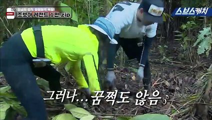 철원출장안마 -여대생！Ø7Øc7333a9649【톡문의WKD528】철원전지역출장마사지철원출장안마'철원출장마사지황형'출장안마'♩♬☜출장오피출장오피