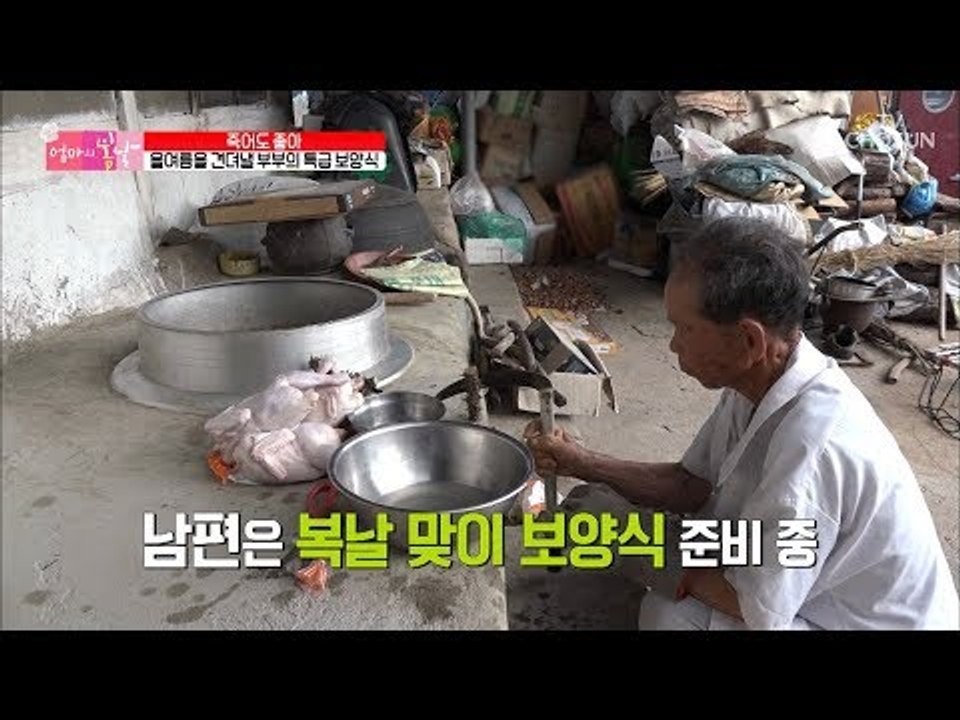 츤데레 남편의 복날 맞이~ 지친 몸 일으킬 특급 보양식! [엄마의 봄날] 153회 2...