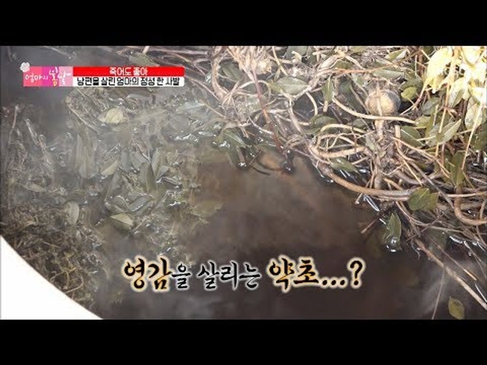 영감 살리는 약초?! 남편 살린 아내의 정성 한 사발~ [엄마의 봄날] 153회 20...
