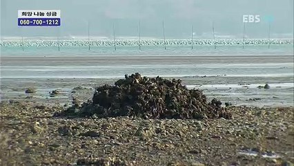 상주출장안마 -여대생！Ø1Øe2997b5327【문의톡DDR88】상주전지역출장마사지상주출장안마'상주출장마사지황형'출장안마'чшщ'출장마사지'콜걸출장오피