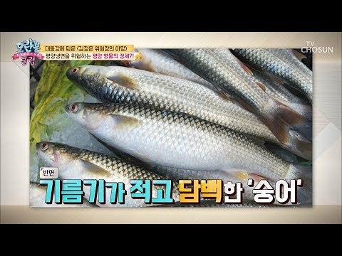 평양냉면을 위협하는 평양 명물의 정체는?! [모란봉 클럽] 160회 20181028