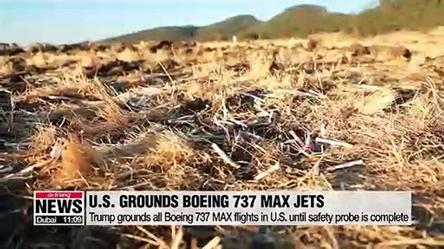 Trump grounds all Boeing 737 MAX flights in U.S. until safety probe is complete
