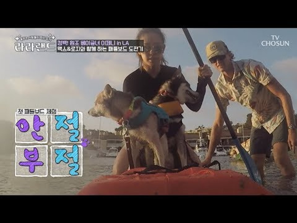 래시가드로 복장 체인지! 맥스&로지와 함께하는 패들보드 도전기 [라라랜드] 1회 20...