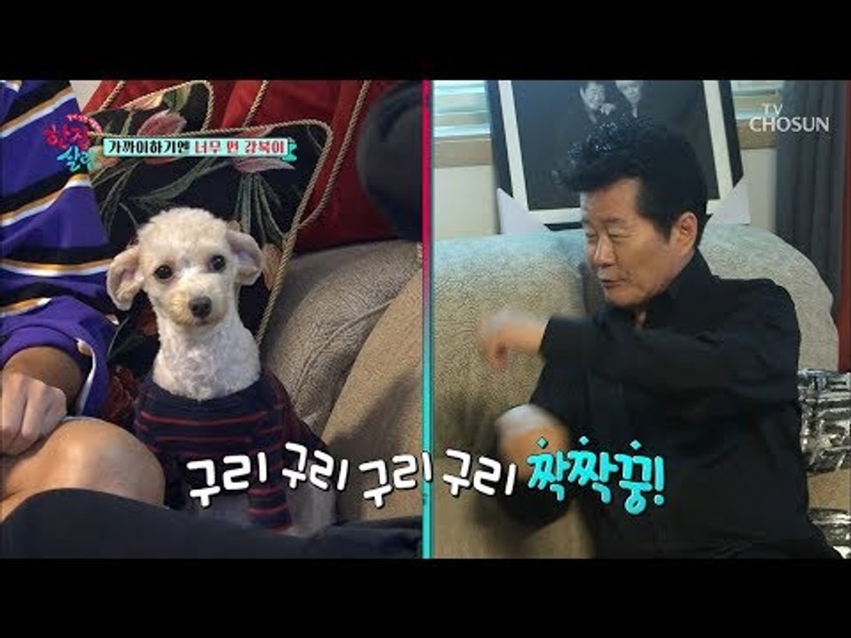 강북이 보다 서열 아래 태진아?! 둘이 친해지기 가능?! [한집 살림] 2회 2018...