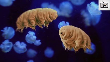 11 Animals Scientists Didn't Know About Until Recently