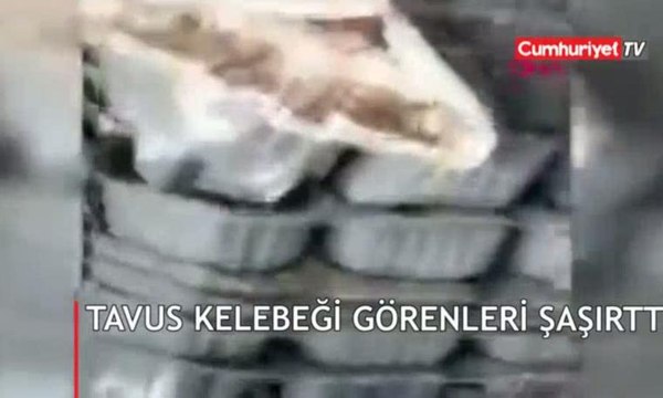 Görür görmez cep telefonuyla kaydetti
