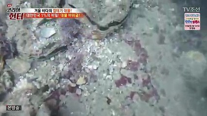 금산출장안마 -여대생！Ø1Øc2671s8135{문의톡KC456}금산전지역출장마사지금산출장안마'금산출장마사지황형'출장안마'☜●♀출장오피출장오피
