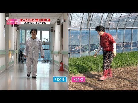 달래엄마의 꽃 피는 봄날~ 허리 시술 전후의 모습은? [엄마의 봄날] 167회 20181125