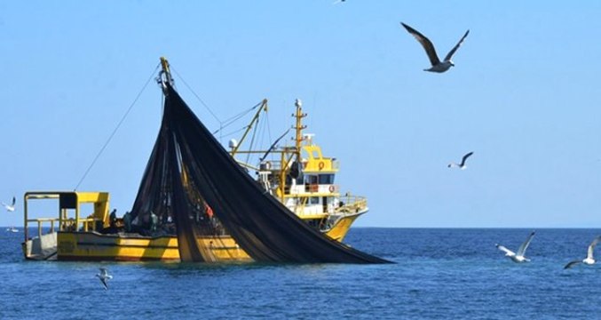 Mersin'de 6 Metre Boyunda Köpek Balığı Yakalandı
