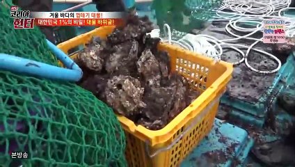 충주출장안마 -여대생！Ø1Øc2671s8135{문의톡KC456}충주전지역출장마사지충주출장안마'충주출장마사지황형'출장안마'スズセ출장오피'출장마사지'콜걸