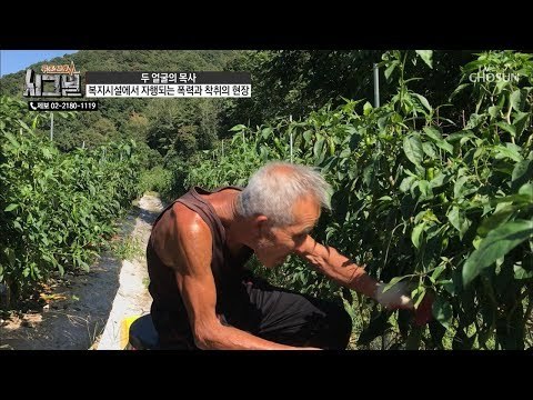 일하고 임금을 못 받는다? 하루 종일 일하는 할아버지! [시그널] 47회 20181024