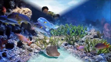 Top Singapore Attractions Places For Kids