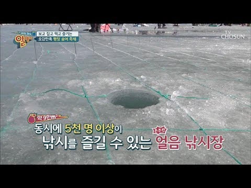오감만족 평창 송어 축제! 낚시 꿀 TIP 공개! [알맹이] 4회 20190106