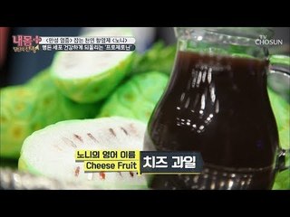 병든 세포를 건강하게~ 천연 항염제 노니! [내 몸 플러스] 119회 20181104