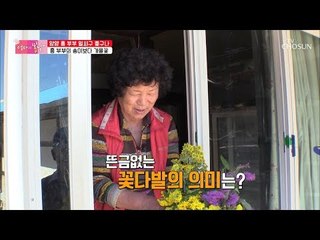 송이보다 더 귀한 꽃다발?! 흥 할배의 깜짝쇼![엄마의 봄날] 165회 20181111