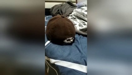 Newsflare Edit - ????  ????????