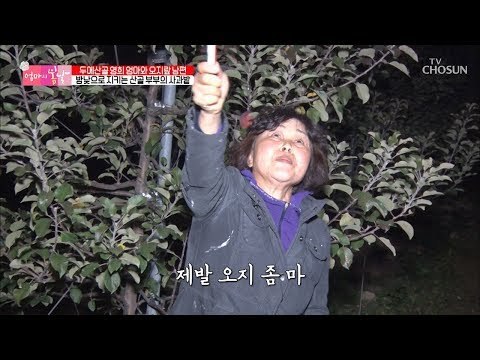 산골 부부의 필수품은 폭죽?! 제발 오지 좀 마! [엄마의 봄날] 168회 20181202