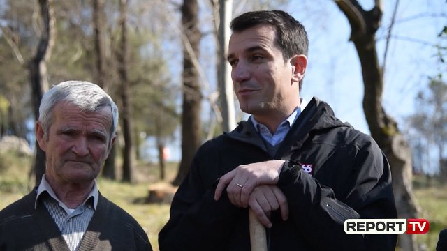 “Dhuro një pemë”, qytetarët i bashkohen nismës për Tiranën e gjelbër