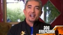 Dog Whisperer S04E01 Chuy, Jack & Carmine