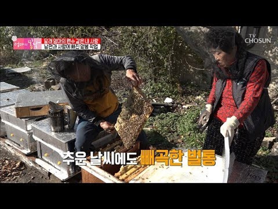 험한 산길을 헤치고! 도착한 곳의 정체는? [엄마의 봄날] 167회 20181125