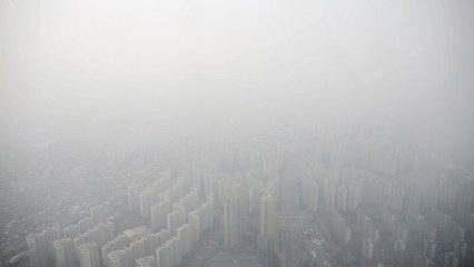 Time running out to save planet, scientists warn