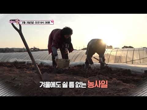 호통엄마와 외조의 제왕 남편_엄마의 봄날 177회 예고