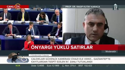 Avrupa Parlamentosu raporu