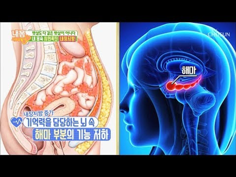 내 몸속 시한폭탄 ‘내장지방’ 심하면 치매까지? [내 몸 사용설명서] 233회 201...