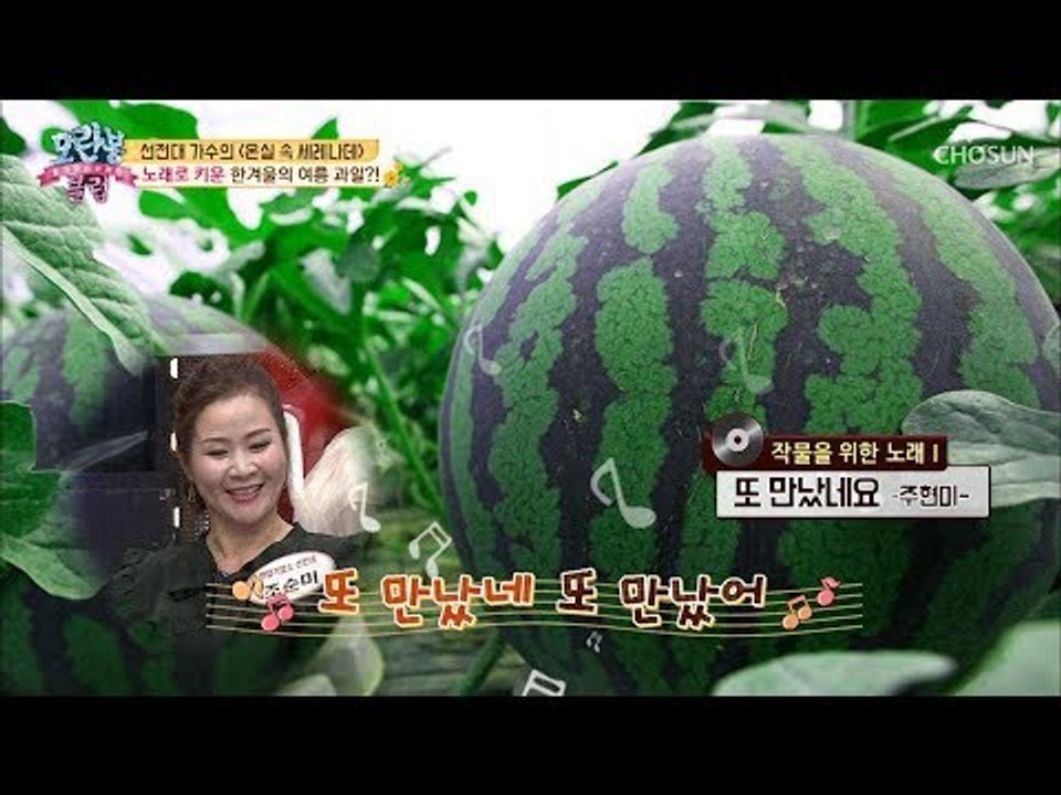 노래로 키운 한겨울의 여름 과일?! 흥이 절로~ 온실 속 세레나데! [모란봉 클럽]...
