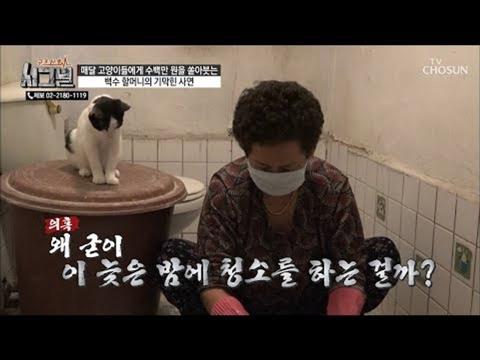 굳이 늦은 밤에 청소를 하는 70세 백수 할머니? [시그널] 58회 20190116