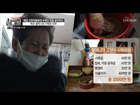 백수 캣맘의 고양이 사육비용이 수백만 원? [시그널] 58회 20190116