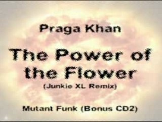 Praga Khan - Power of the Flower (Junkie XL Remix)