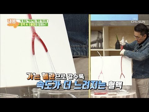 ‘기름 낀’ 혈액이 흐르는 모습은? [내 몸 사용설명서] 236회 20190118