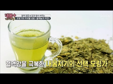면역기능 up! 혈관을 깔끔하게 청소 하는 ‘모링가’ [내 몸 플러스] 132회 20190217