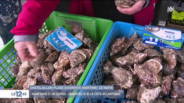 Naufrage d'un cargo : craintes sur la côte Atlantique