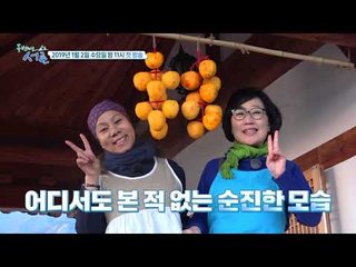 부산에서 해남까지 함께한 그녀들의 인생 이야기_두 번째 서른 1회 예고